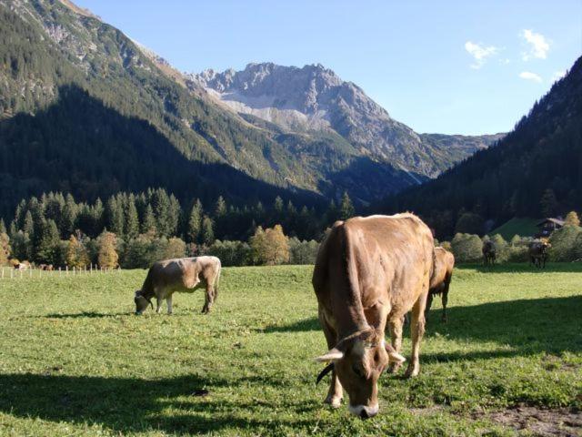 Walliser Stube Aparthotel Mittelberg Esterno foto